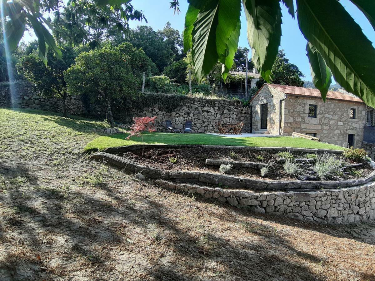 River House Sejaes Oliveira de Frades Esterno foto