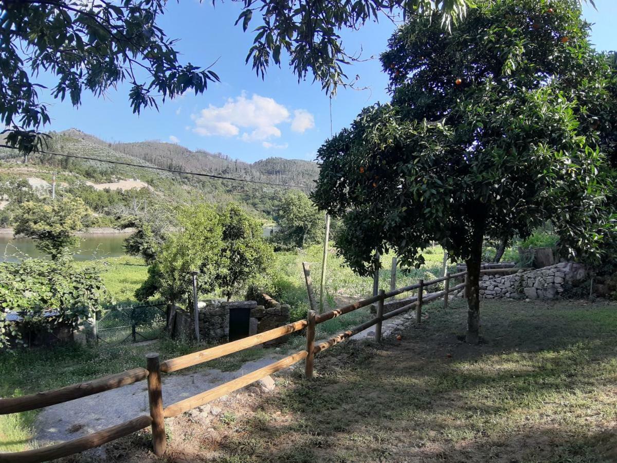 River House Sejaes Oliveira de Frades Esterno foto